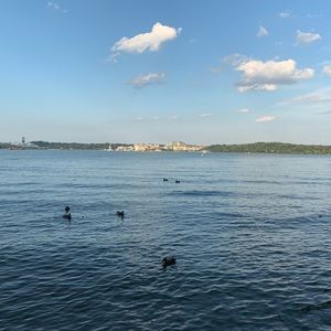 Meet your Posher, Nashwa